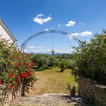 Classical Villa Anta Ágios Ioánnis Екстериор снимка