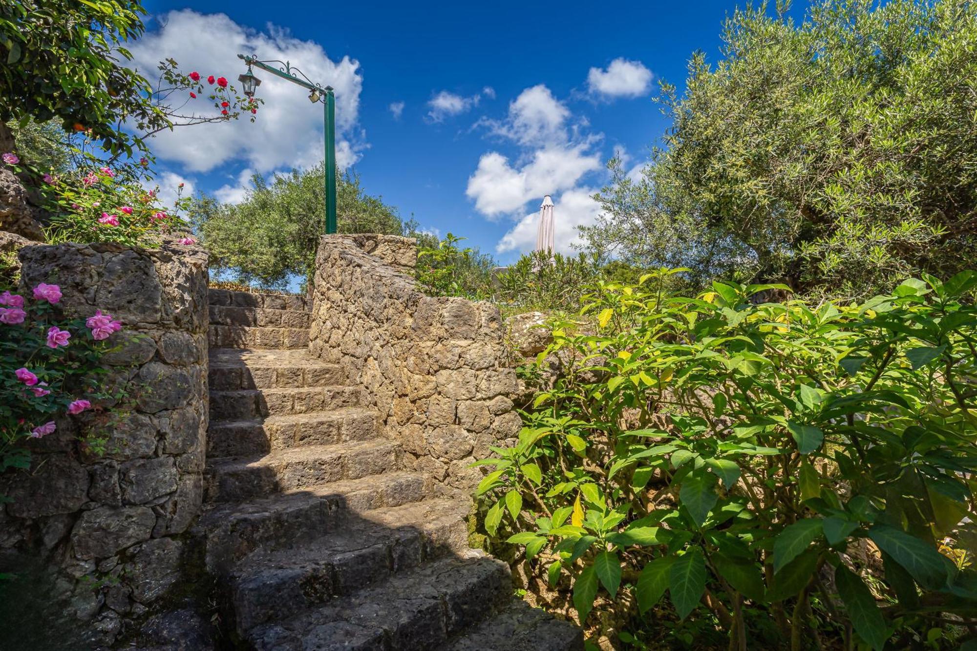 Classical Villa Anta Ágios Ioánnis Екстериор снимка
