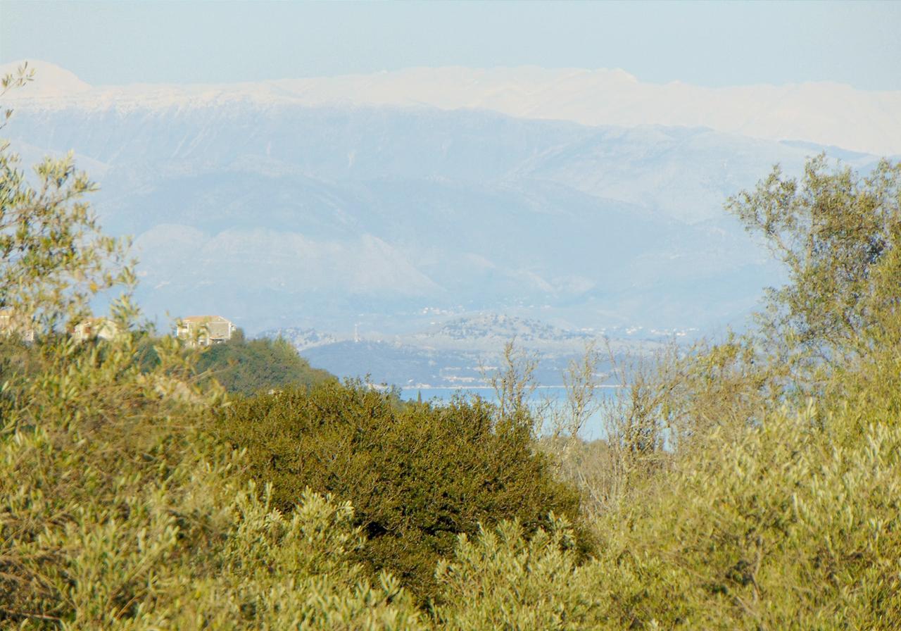 Classical Villa Anta Ágios Ioánnis Стая снимка